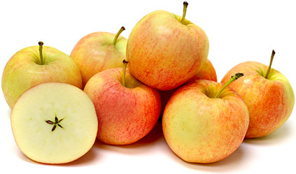 Wellsley Farms Organic Gala Apples, 5 lbs.