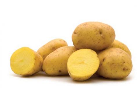 5-lbs Washington Grown Gold Potatoes