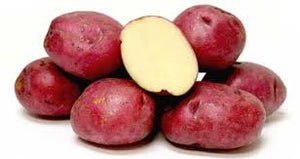 Washington Grown Red Potatoes - 1 lb
